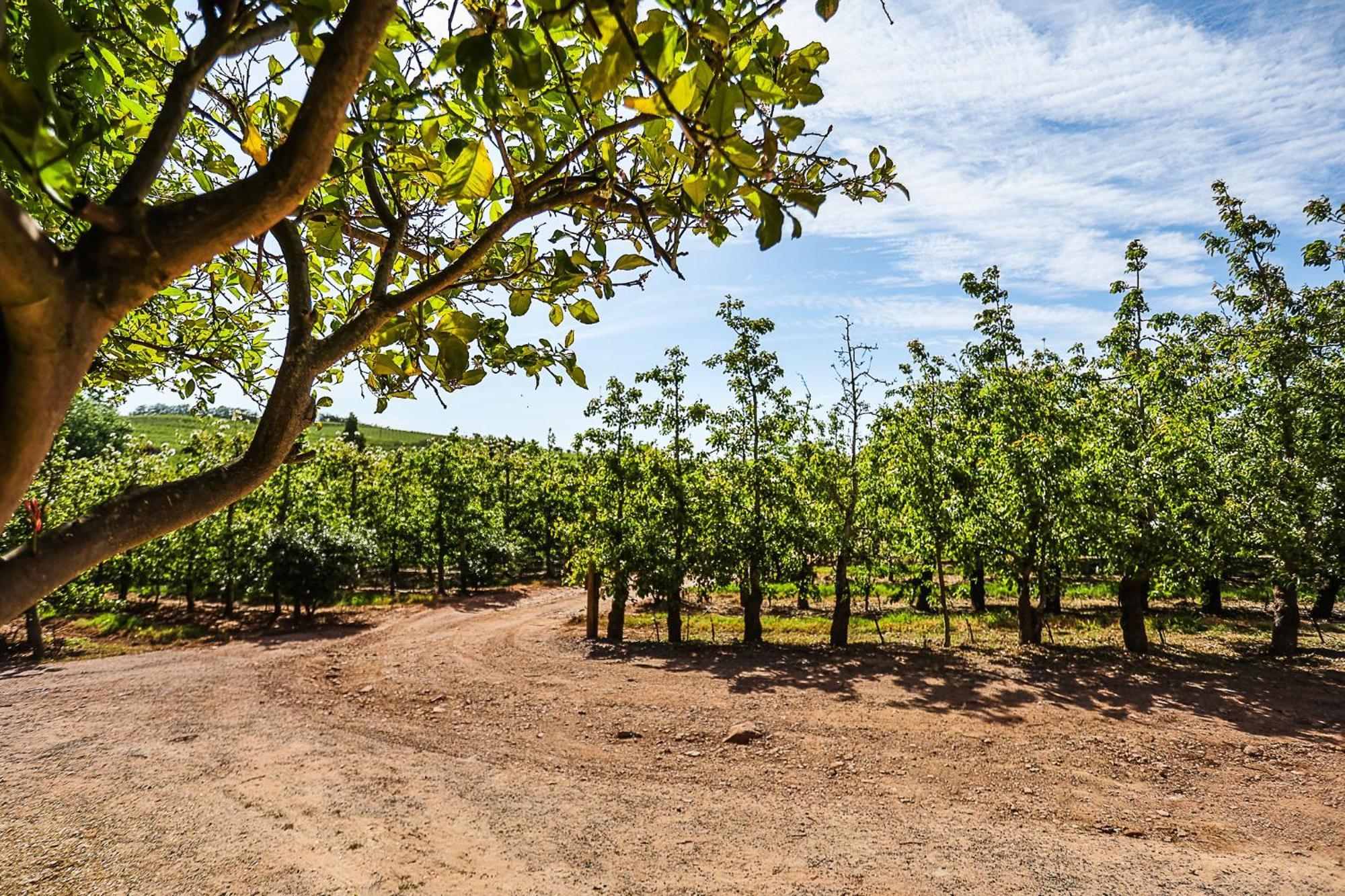 Willa Galileo Farm Elgin  Zewnętrze zdjęcie